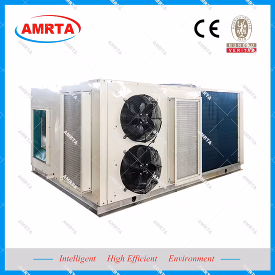 Industrial Commercial Clean Type Combined Air Handling Unit/Ahu/Air Conditioner Cooling System